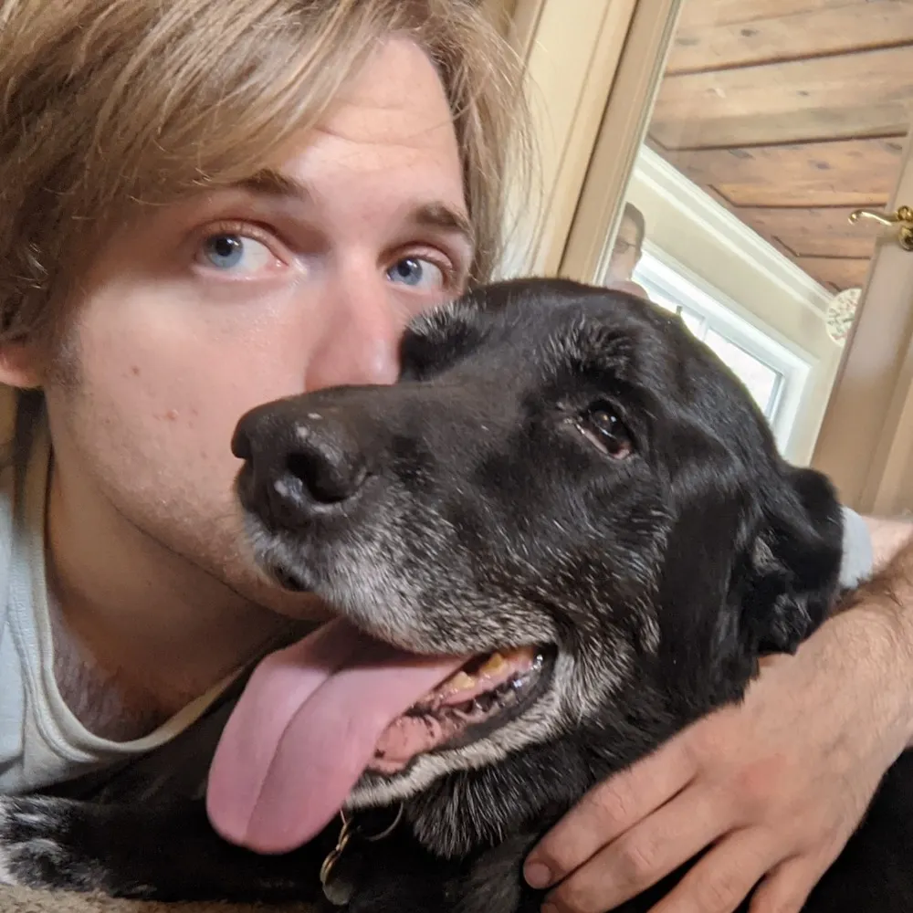 barryherbers.bsky.social's profile picture