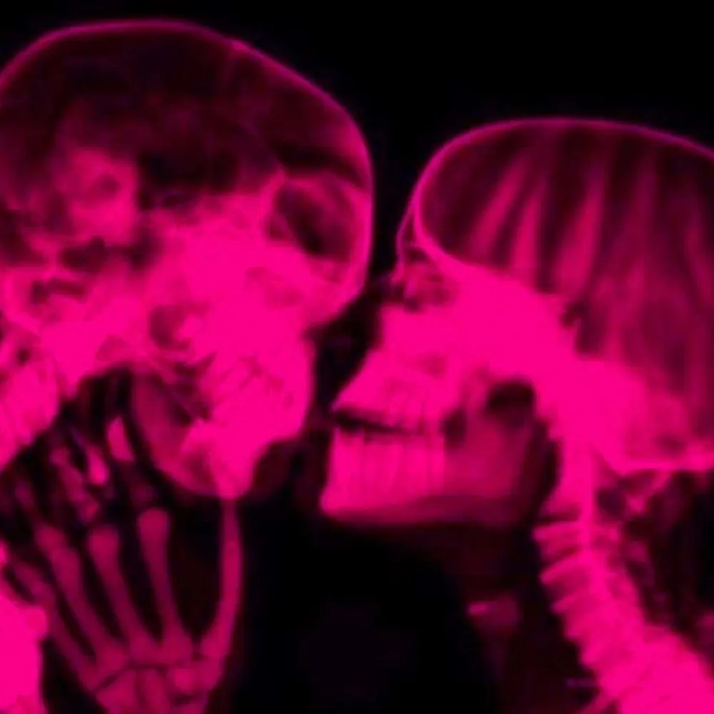 slonyz.bsky.social's profile picture