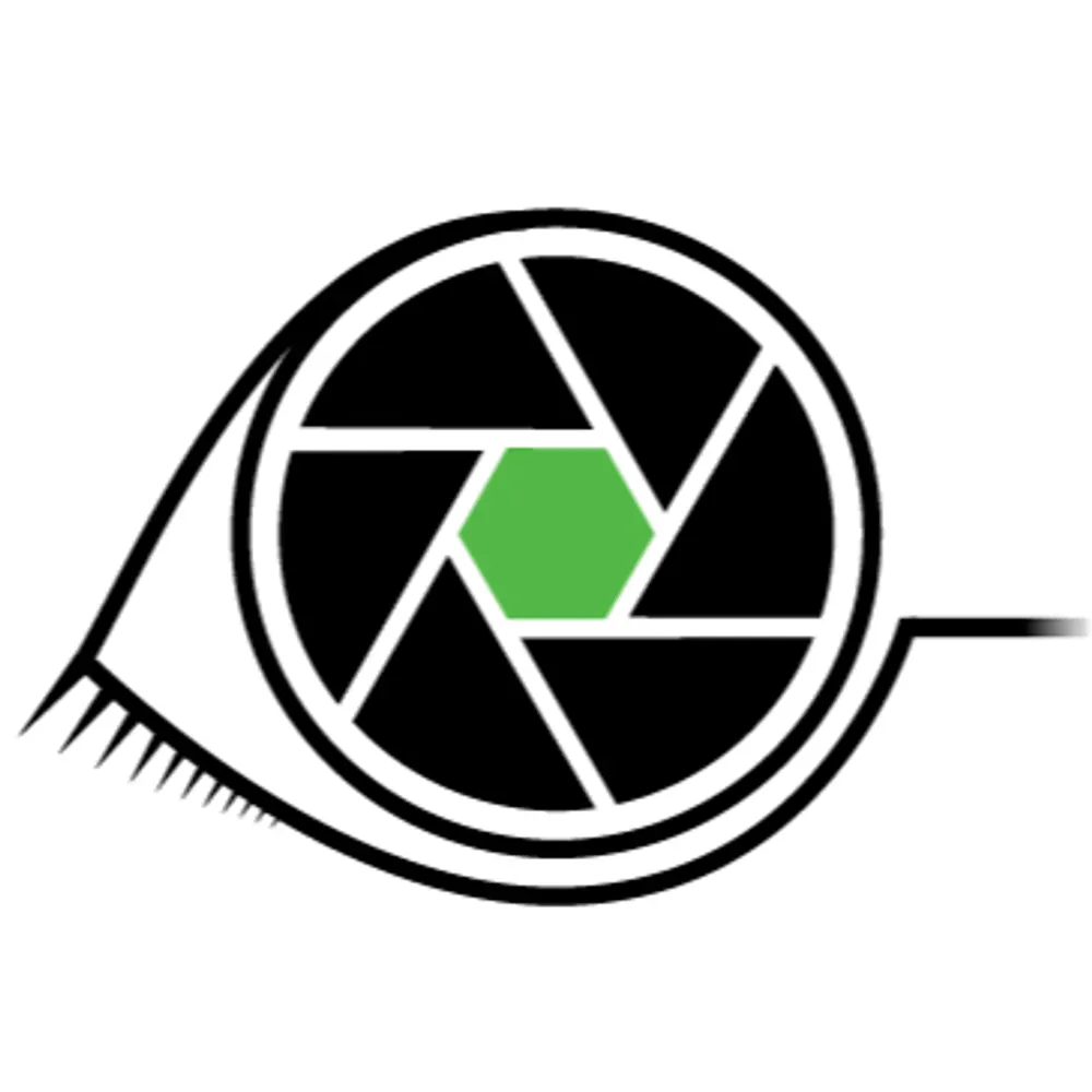 thatturtle.bsky.social's profile picture