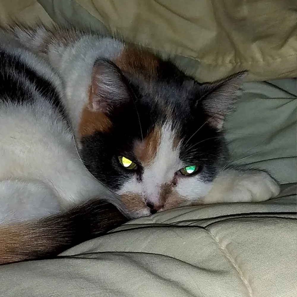 munsonman1.bsky.social's profile picture