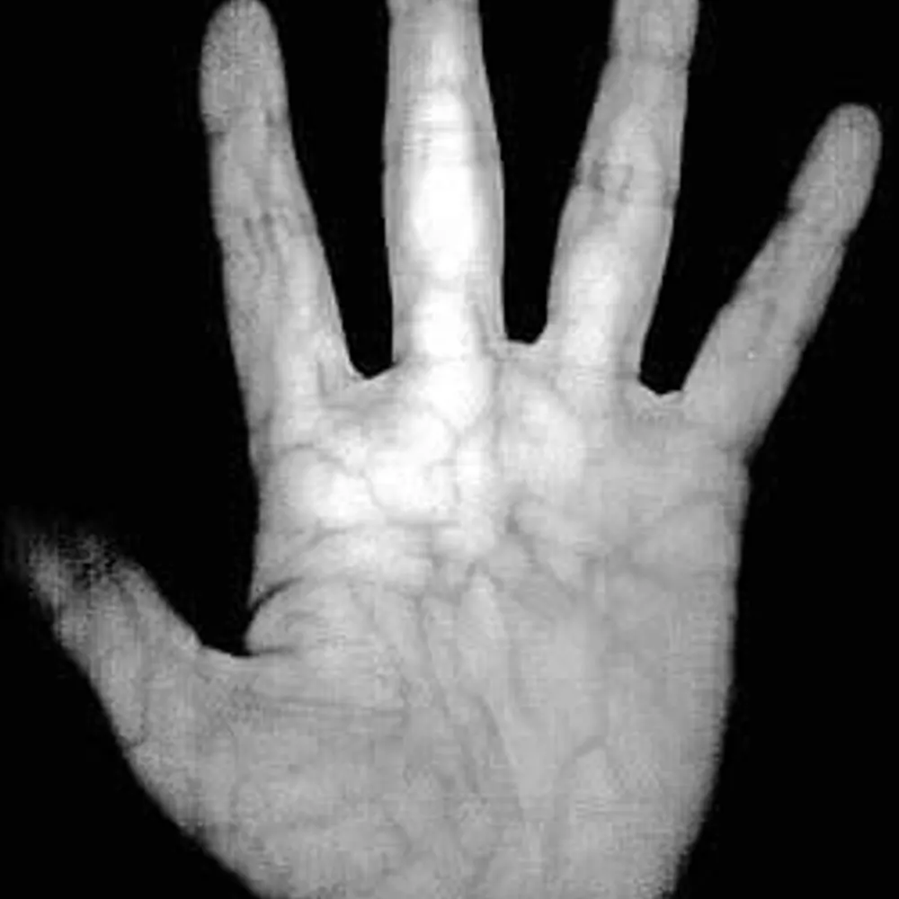 criticalserf.bsky.social's profile picture