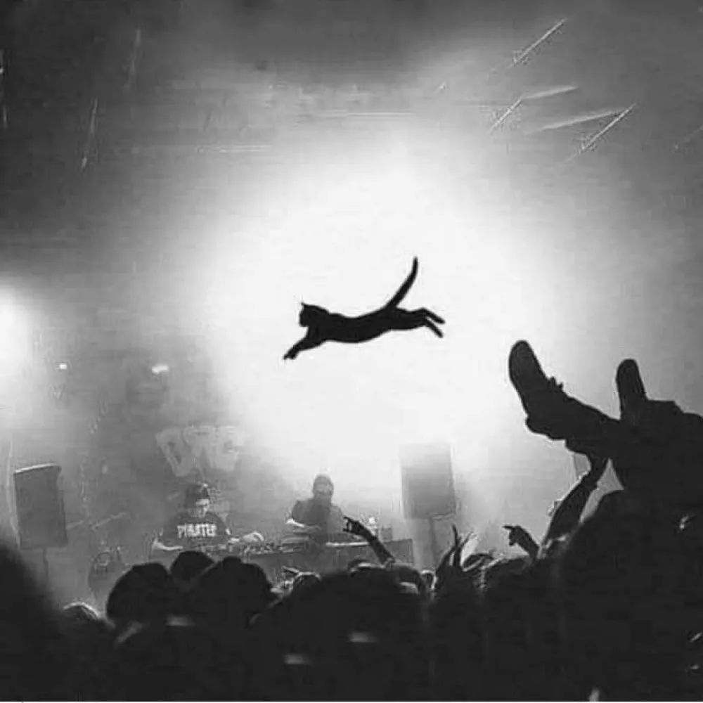 thebaroness.bsky.social's profile picture