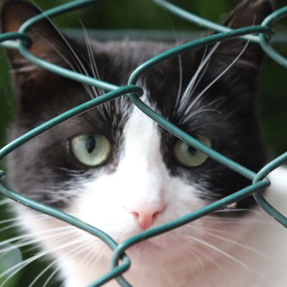 ajaxsinger.bsky.social's profile picture