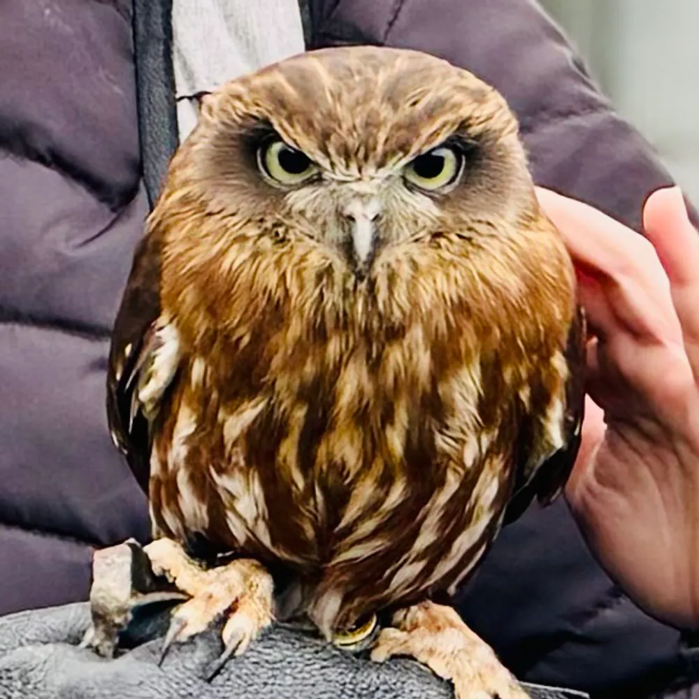 keithwilson.eu's profile picture