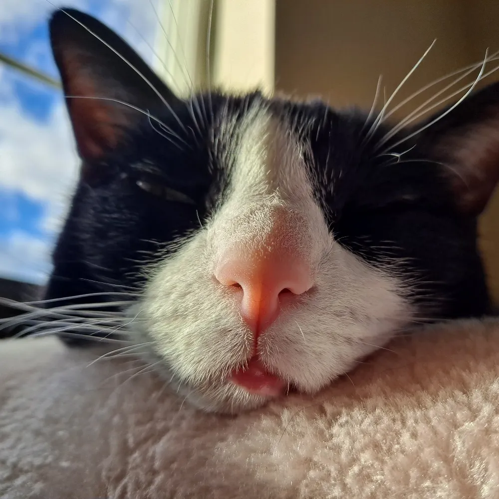 bsecco.bsky.social's profile picture