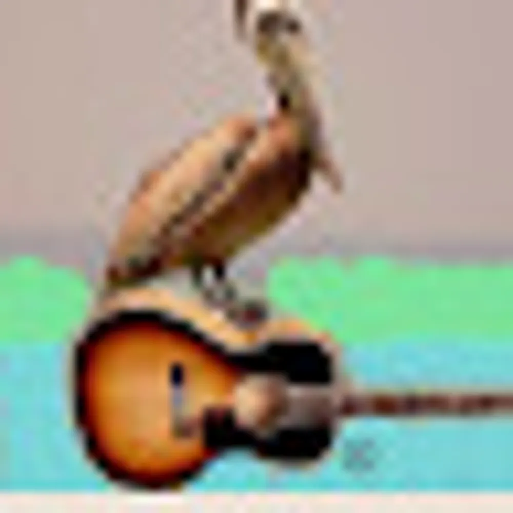 pelicandocker.bsky.social's profile picture