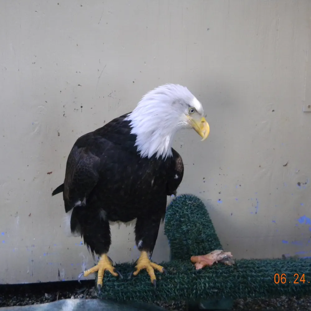 nevadaandy.bsky.social's profile picture