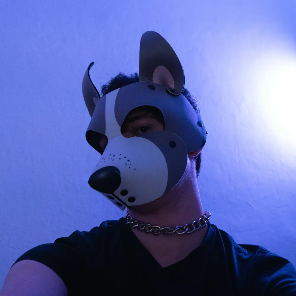 howlingnation.bsky.social's profile picture