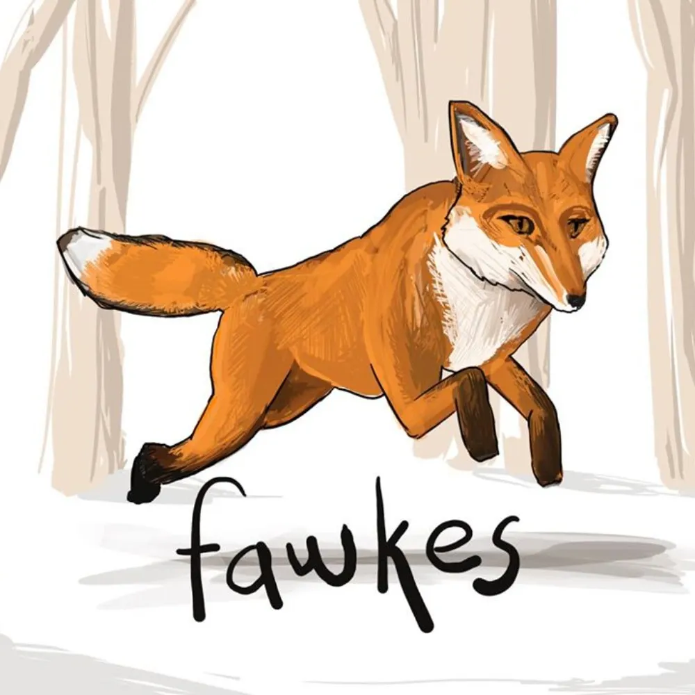 theknownsea.bsky.social's profile picture