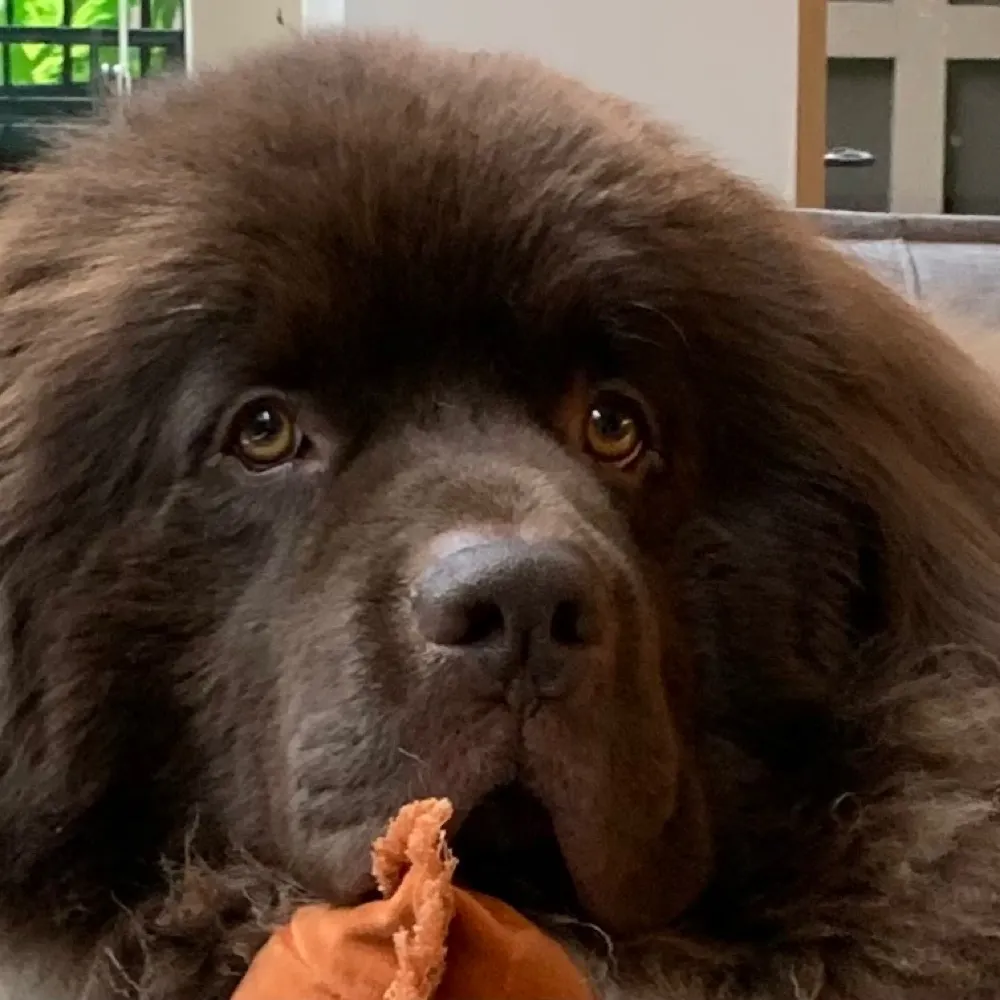 jarrah21.bsky.social's profile picture