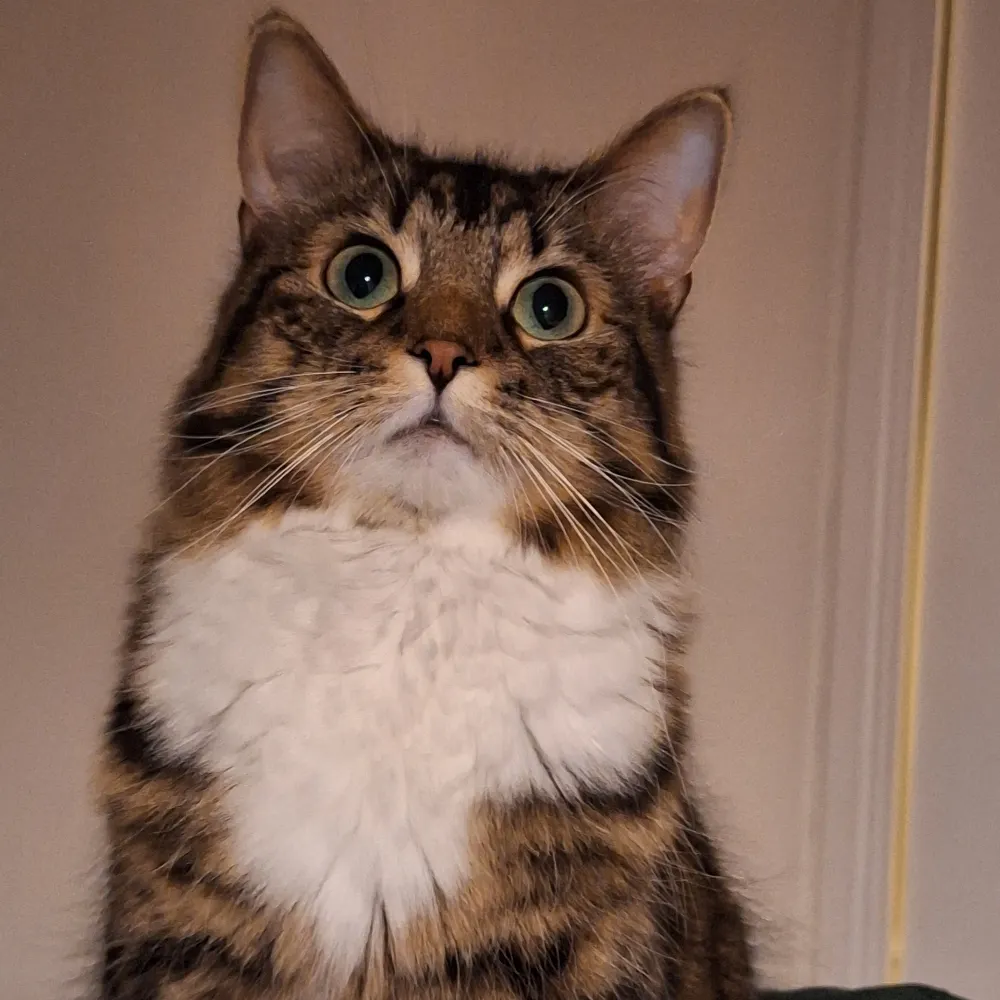 drbeibh.bsky.social's profile picture