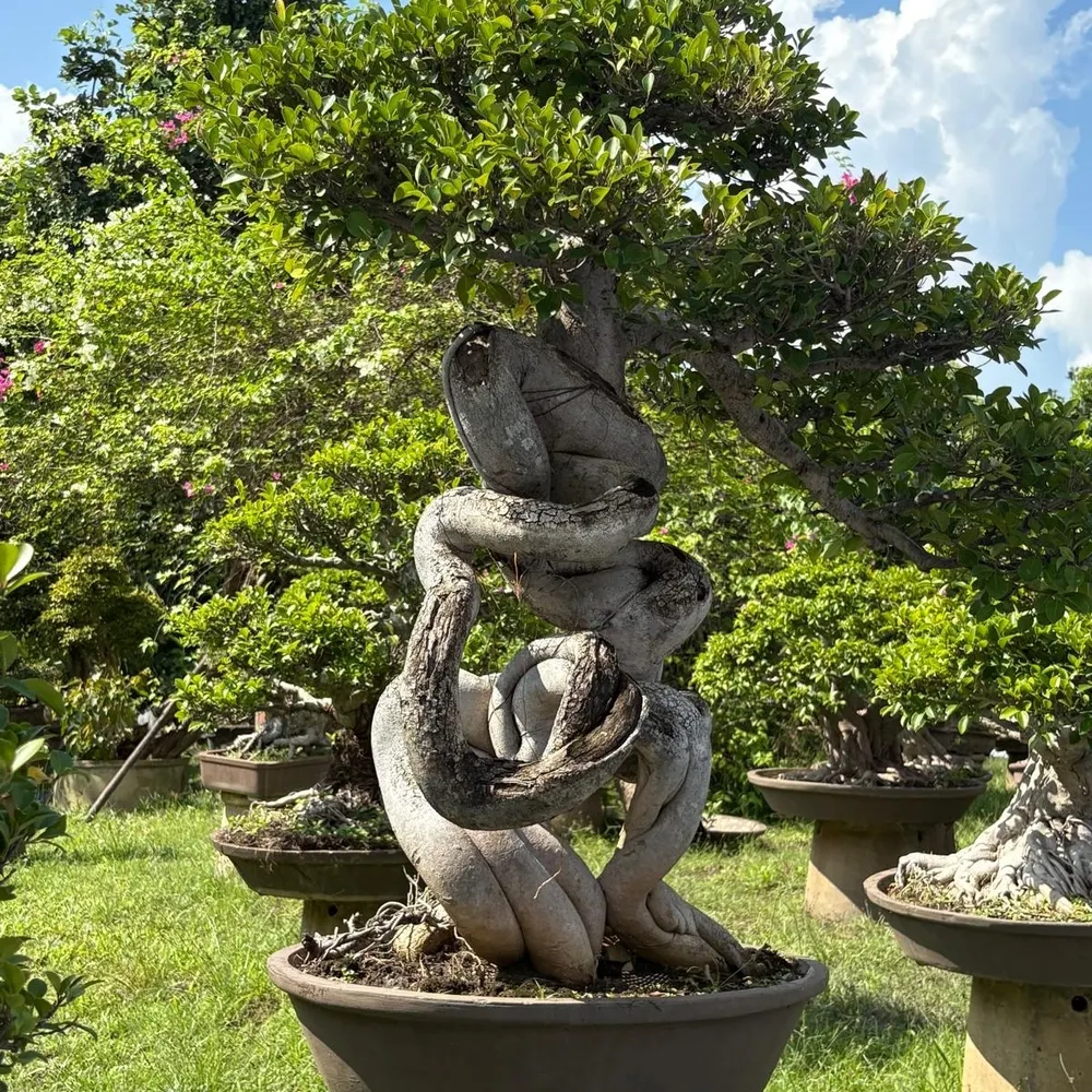 armandiumnik.bsky.social's profile picture