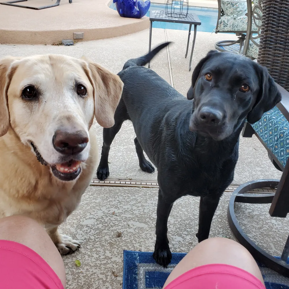 desertdane.bsky.social's profile picture