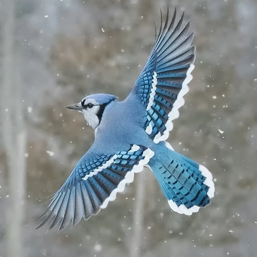 matssondean.bsky.social's profile picture