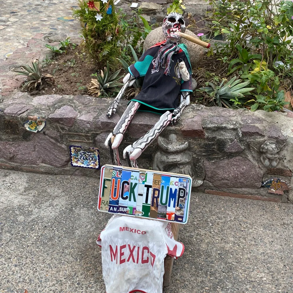 delfines.bsky.social's profile picture