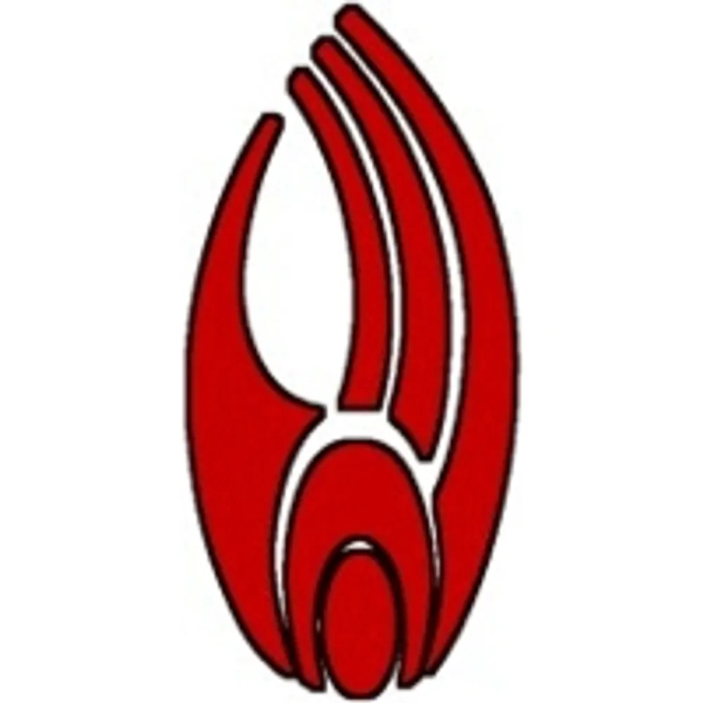 zur-borg.net's profile picture