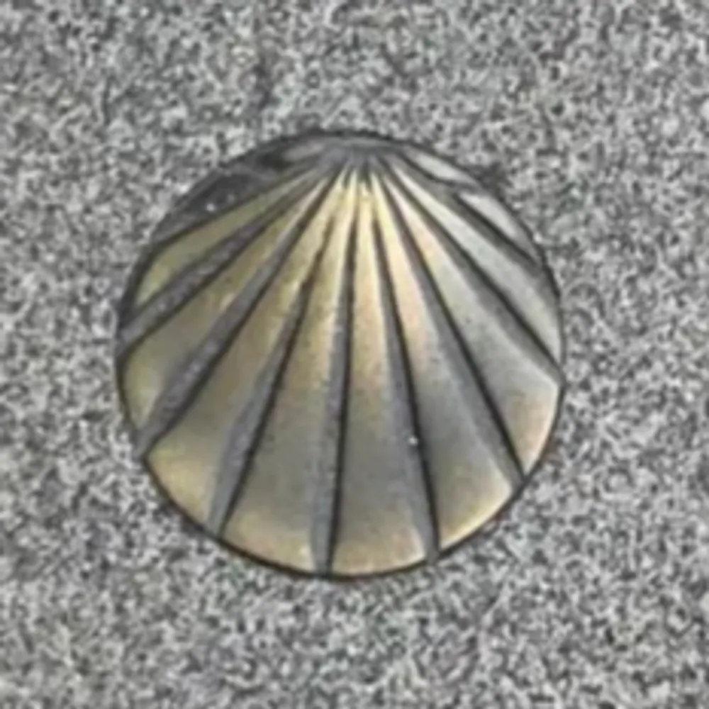 pam327.bsky.social's profile picture