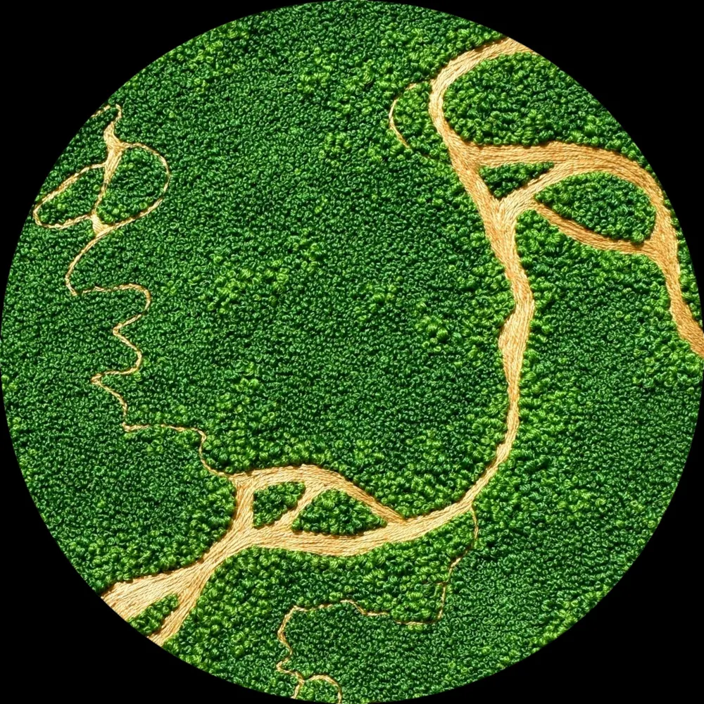 aerialembroidery.bsky.social's profile picture