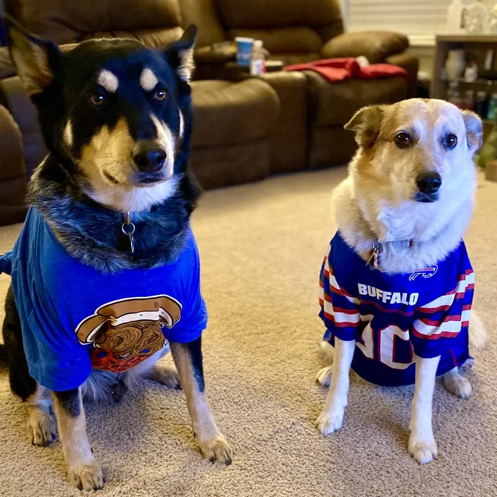 staygolden.bsky.social's profile picture