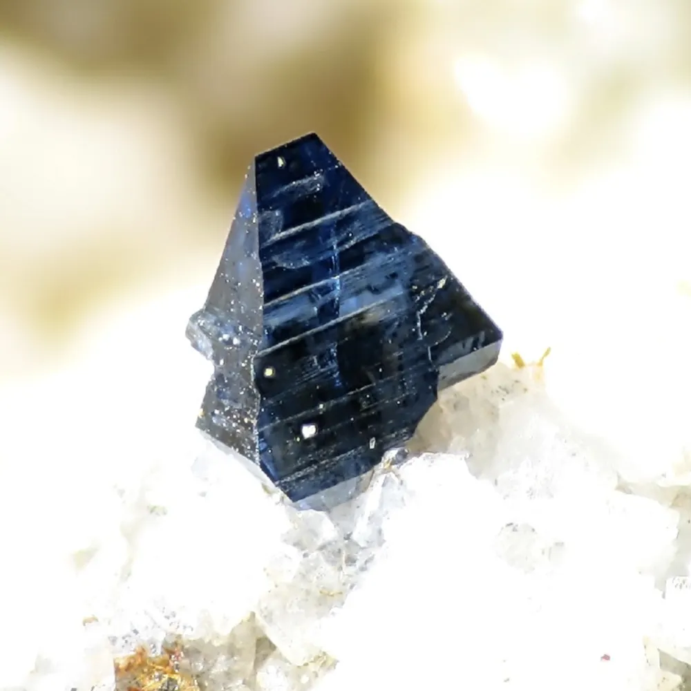 wyotitania.bsky.social's profile picture