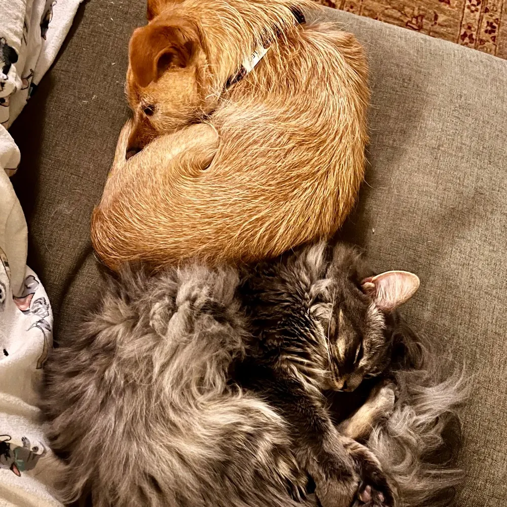 ginamarie295.bsky.social's profile picture