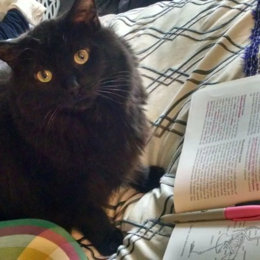 nerdykris.bsky.social's profile picture