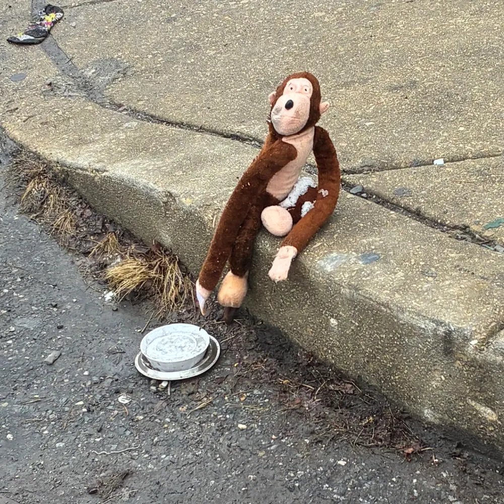 daniellie.bsky.social's profile picture