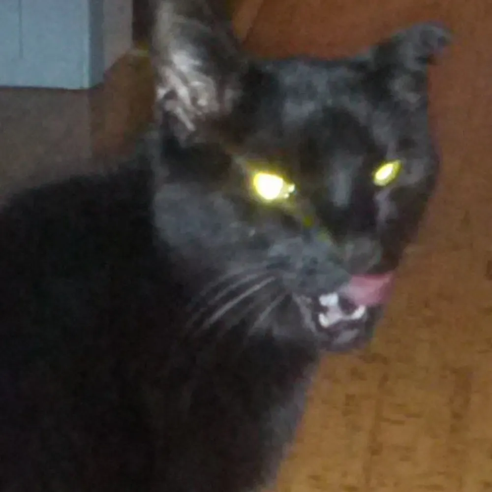 gleebix.bsky.social's profile picture