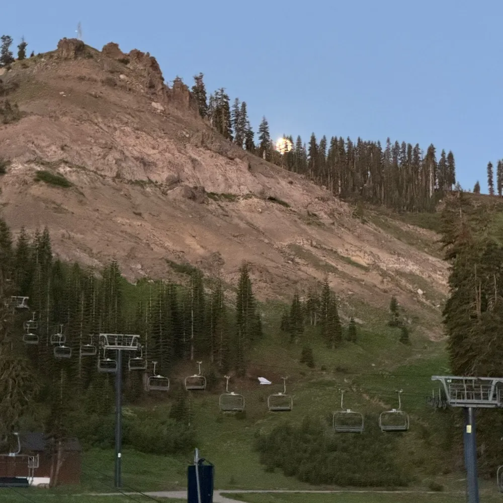 camfentriss.bsky.social's profile picture