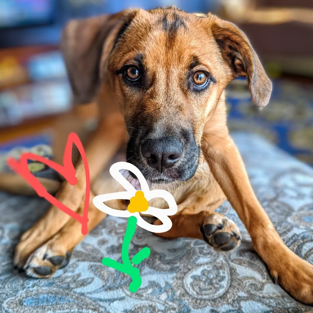 nursebarbara.bsky.social's profile picture