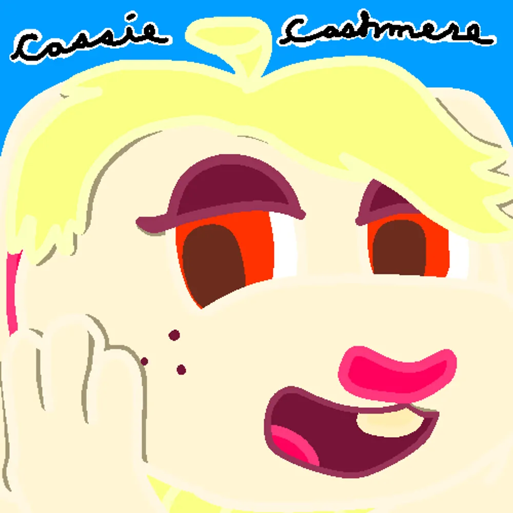 cassiecashmere.bsky.social's profile picture