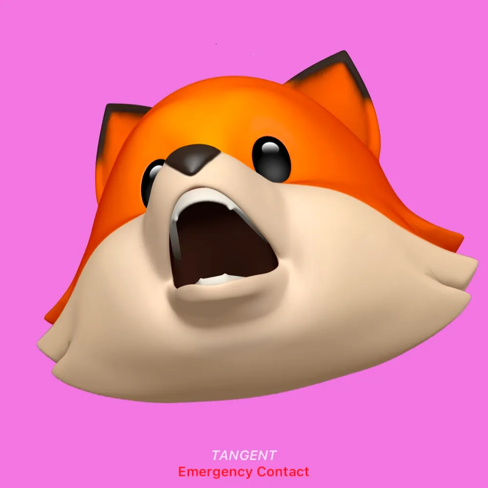 tangentfoxofficial.bsky.social's profile picture