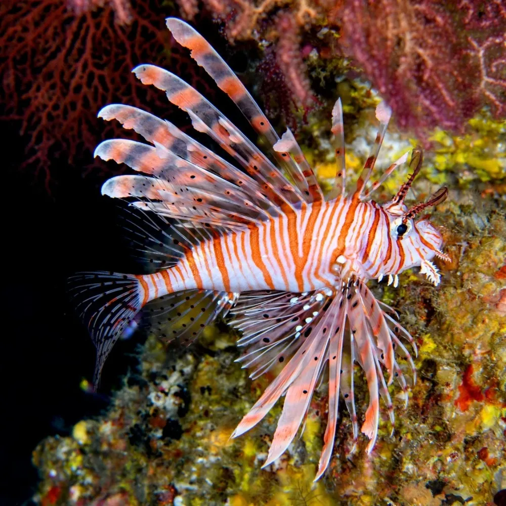 mjoo.bsky.social's profile picture