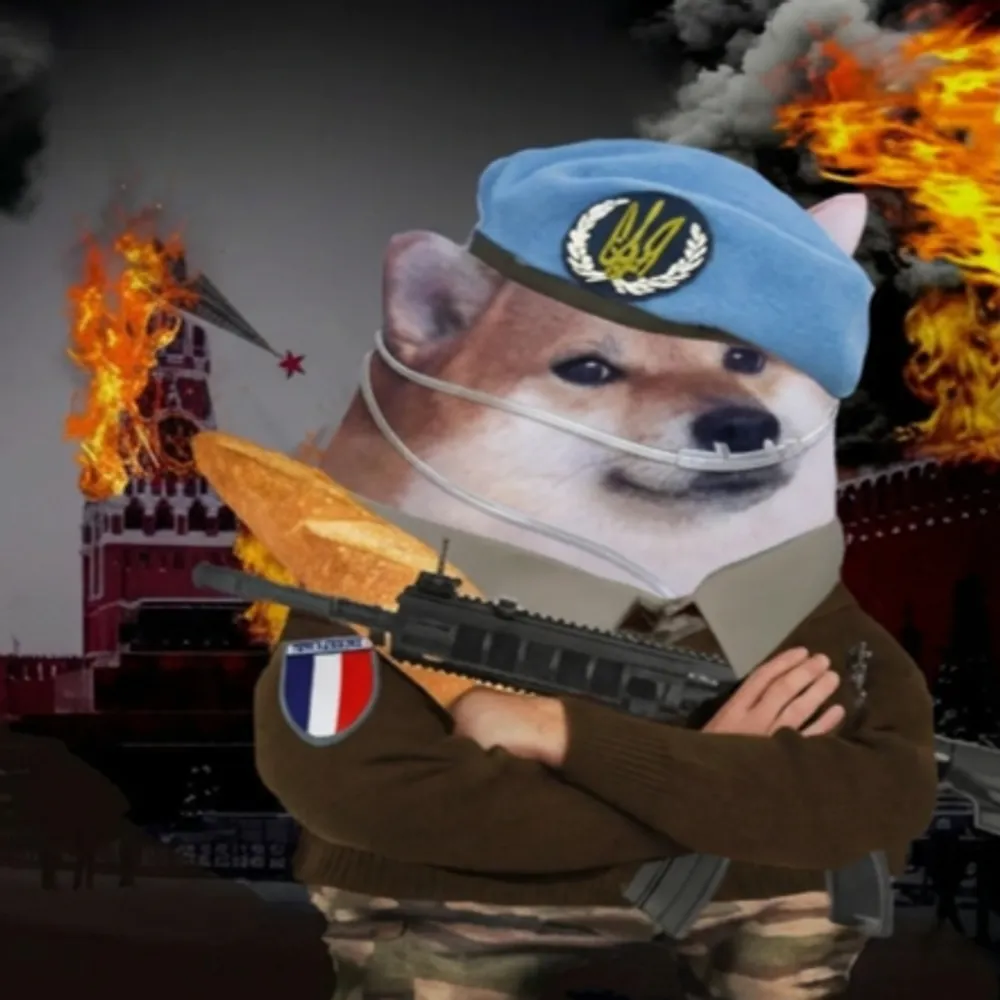 sudetsoleil.bsky.social's profile picture