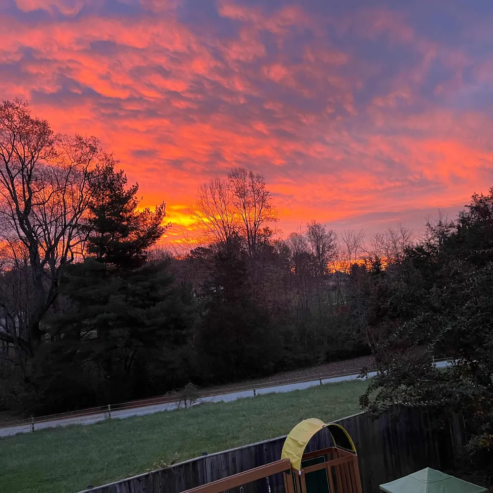 pottymouthgrandma.bsky.social's profile picture