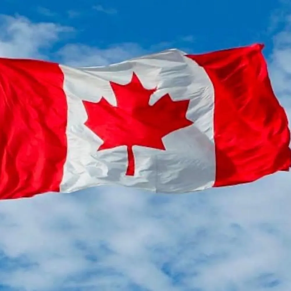 madredeidraghi.bsky.social's profile picture