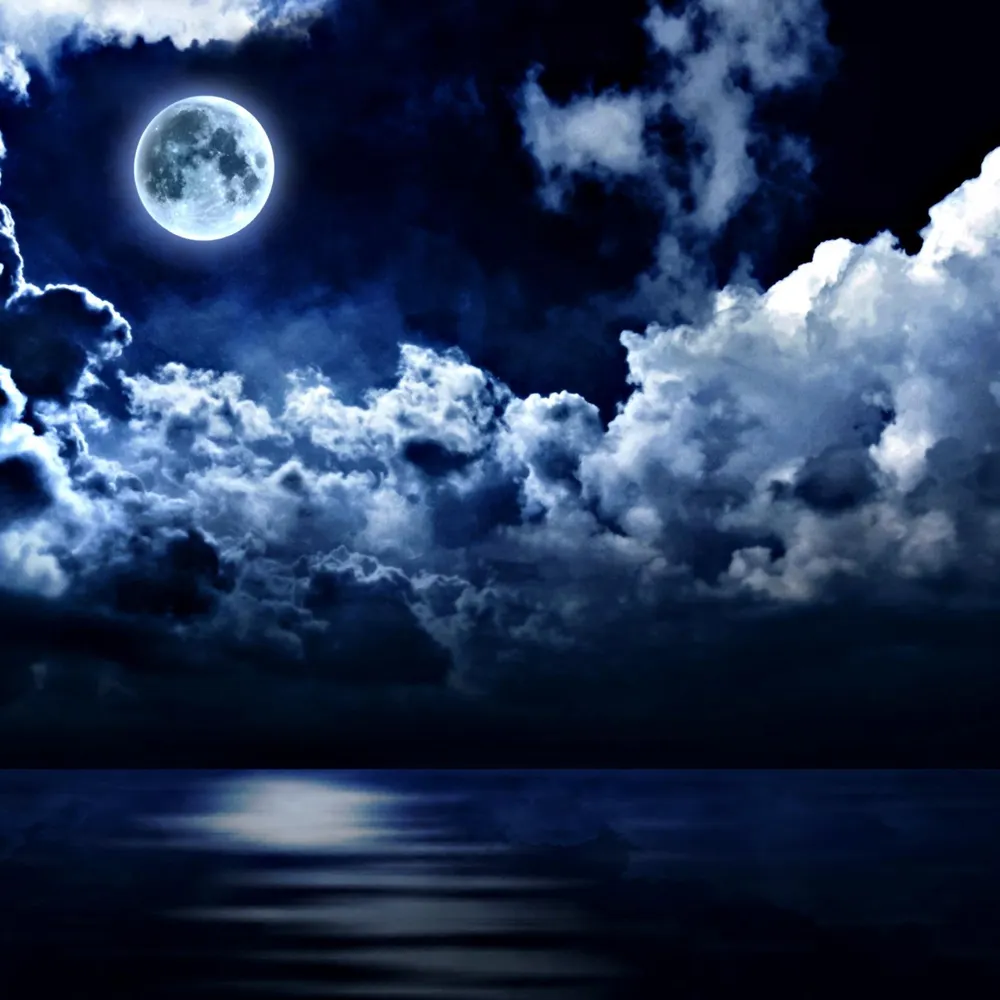 bluejacksky.bsky.social's profile picture