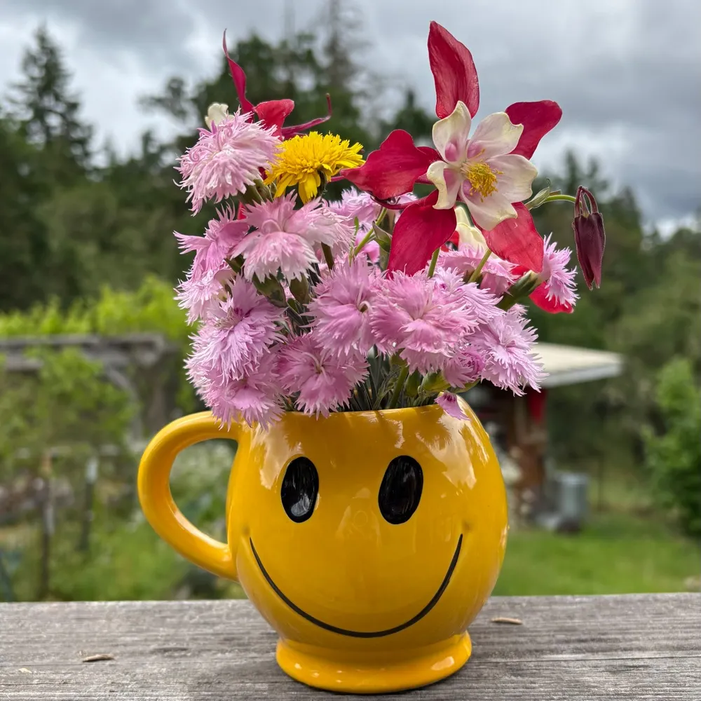 eseating.bsky.social's profile picture