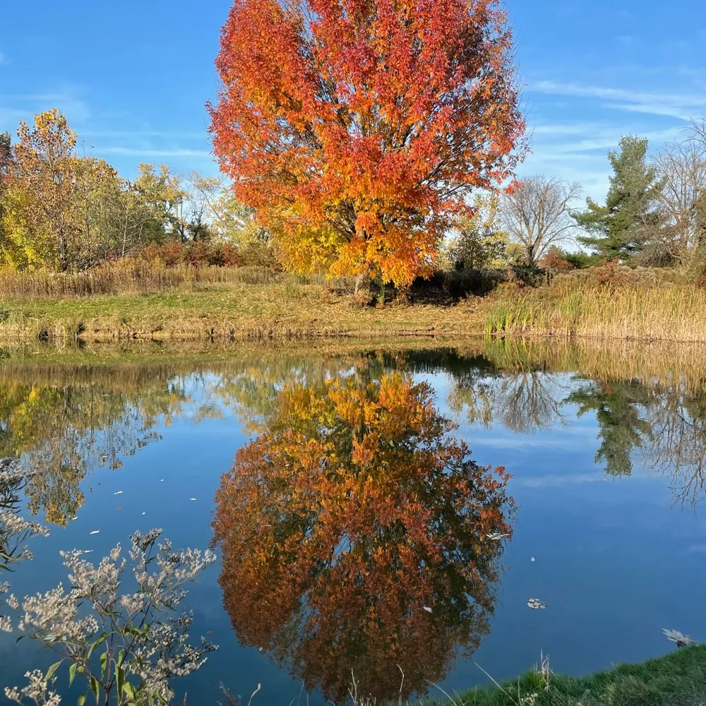 sassysue2.bsky.social's profile picture