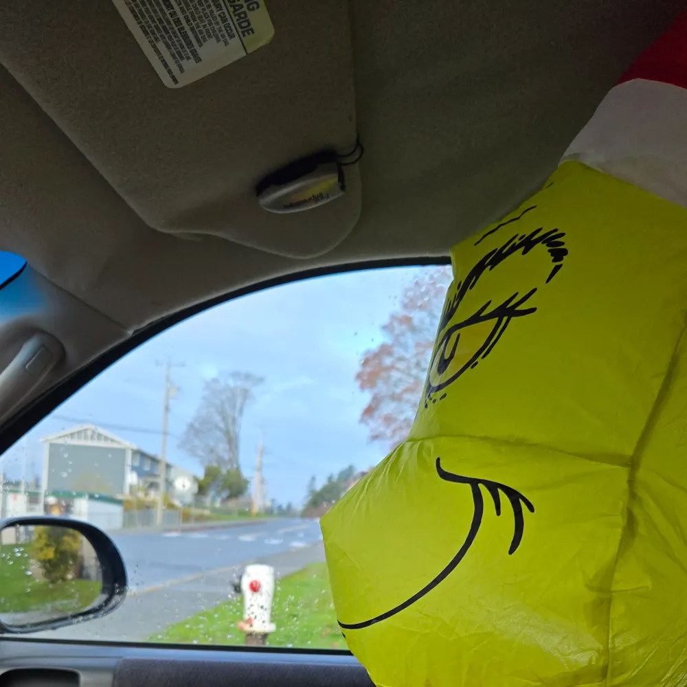 1loriking.bsky.social's profile picture