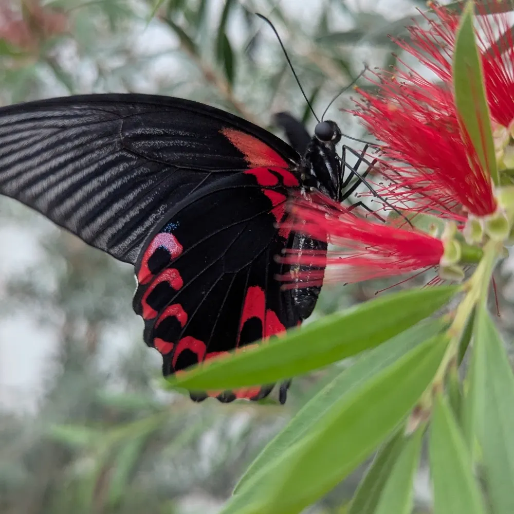 chaiskymel.bsky.social's profile picture