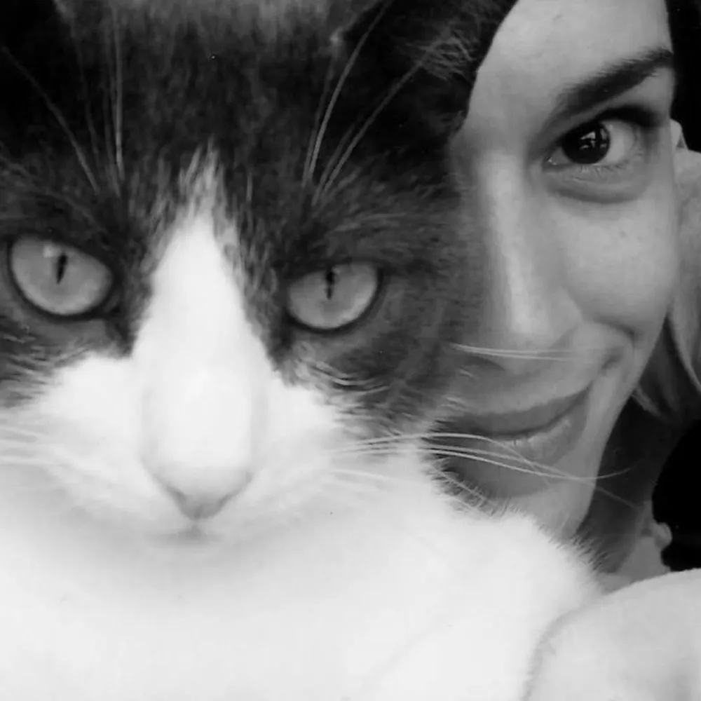 1-blackcat.bsky.social's profile picture