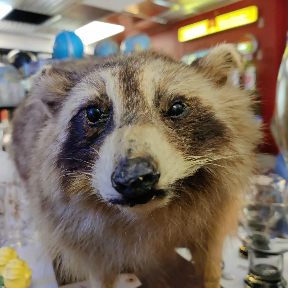 lateralmoves.bsky.social's profile picture