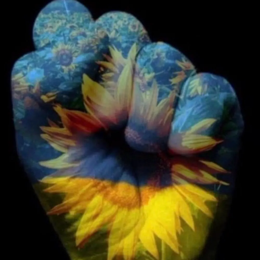 rocbrady.bsky.social's profile picture