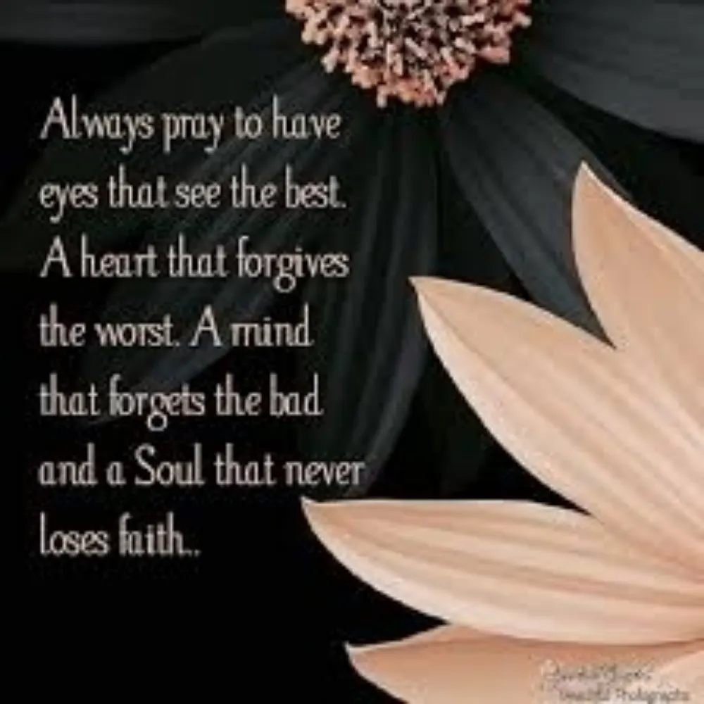 northofhome.bsky.social's profile picture