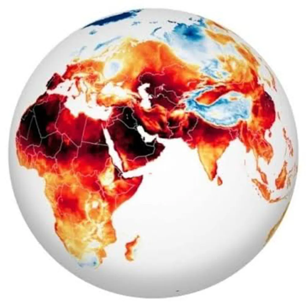 nzpom.com's profile picture