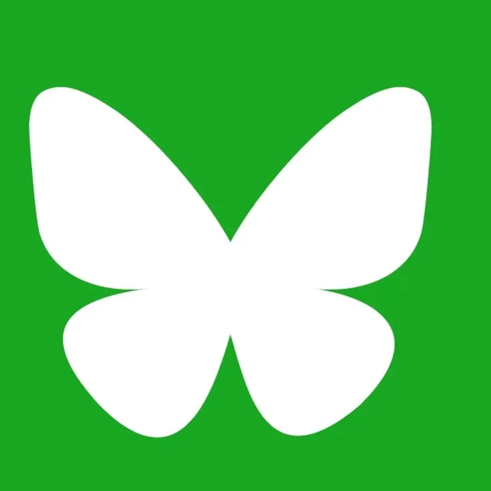 davidrowewtl.bsky.social's profile picture