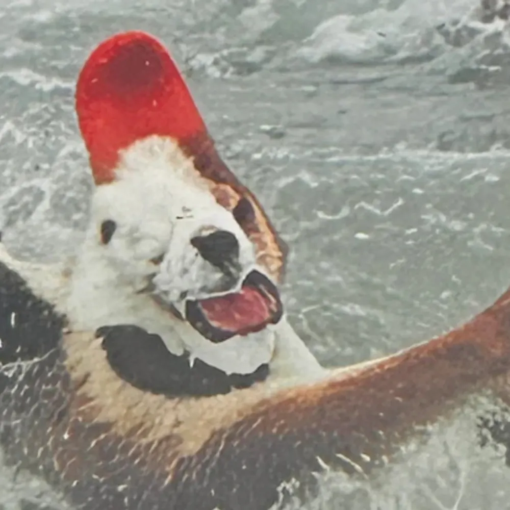 jimllmixit.bsky.social's profile picture