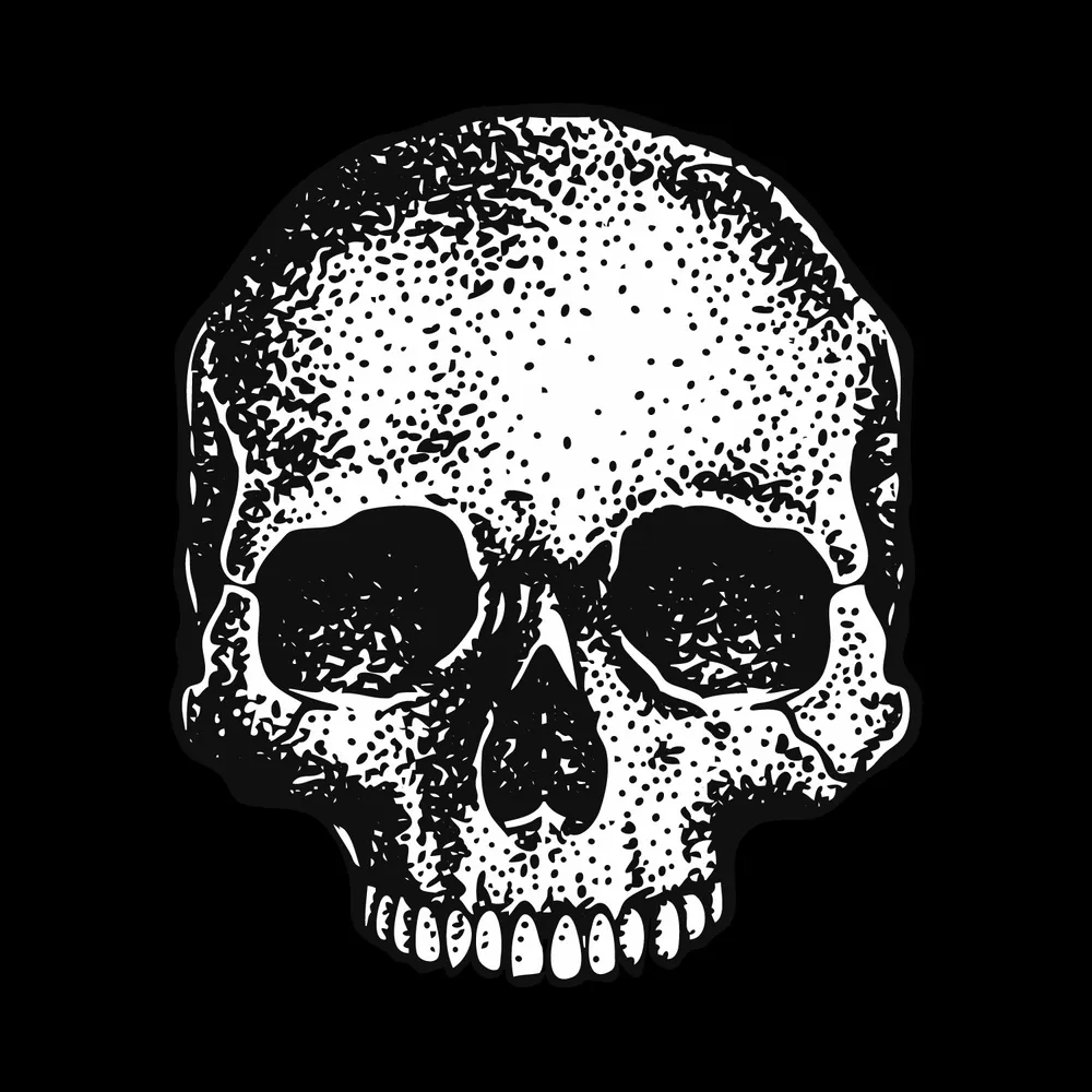 deadcode.website's profile picture