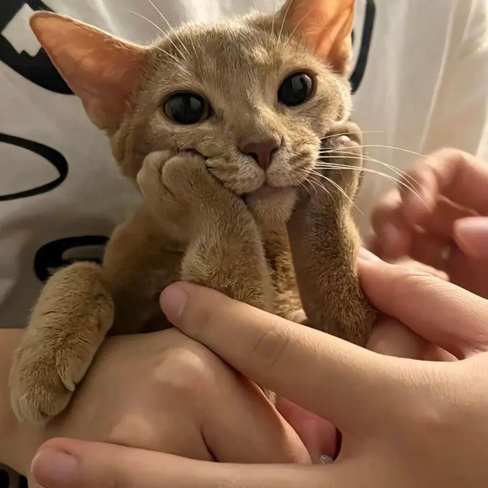 elliotald3rson.bsky.social's profile picture